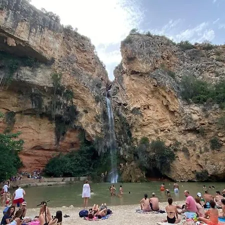 Calm Jungle Near Valencia *