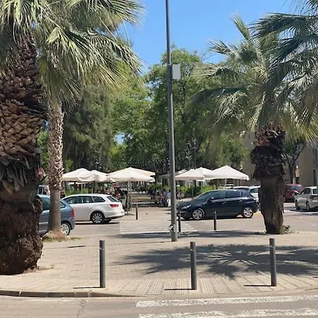 Calm Jungle Near Valencia *