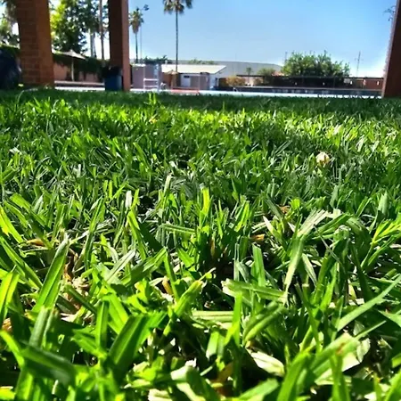 Calm Jungle Near Valencia Apartment *